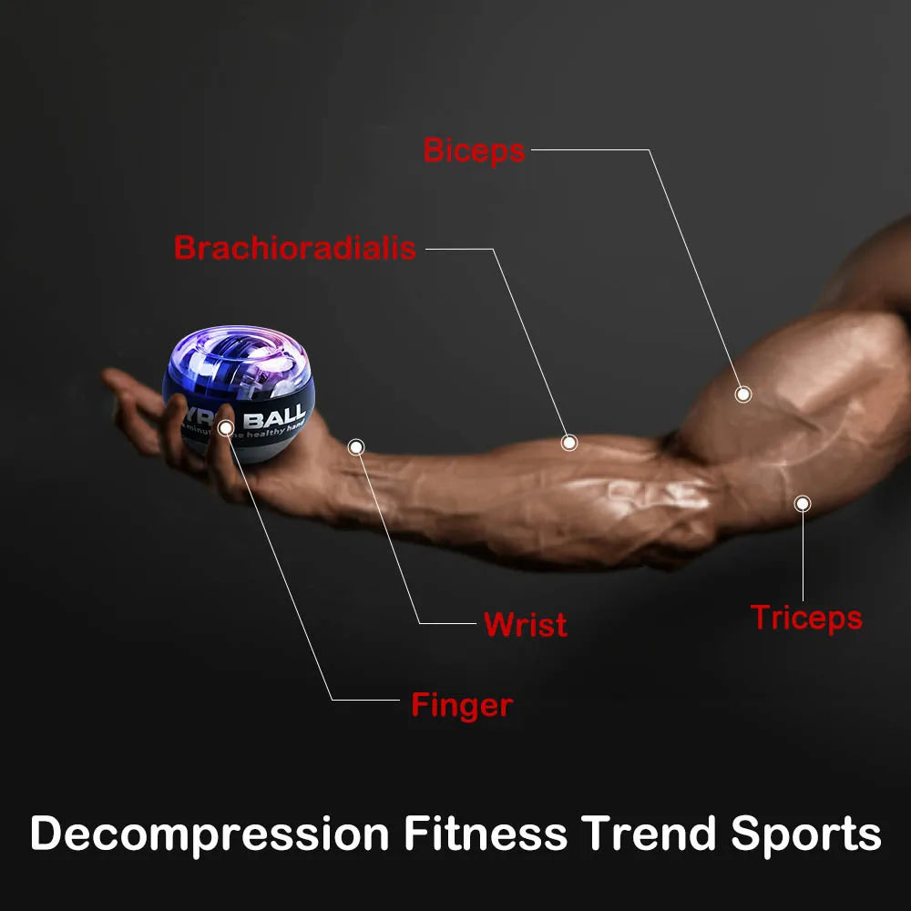 Auto-start gyroscopic wrist and forearm strengthener ball by Fitnessniches, showing a close-up of its sleek design and grip.